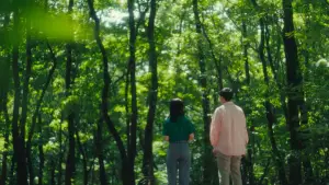 Backdrop to the movie "Summer