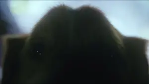 Backdrop to the movie "Good Boy" #517219