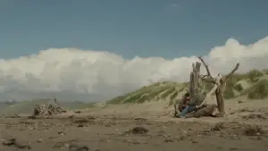 Backdrop to the movie "Camera" #789249