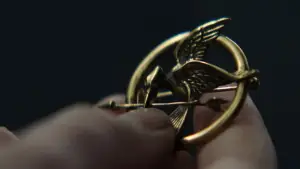 Backdrop to the movie "The Hunger Games: Catching Fire" #625139