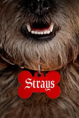 Poster to the movie "Strays" #12991