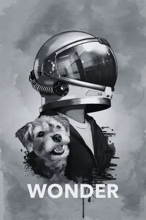 Poster to the movie "Wonder" #601072