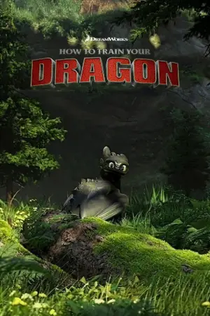 Poster to the movie "How to Train Your Dragon" #833991
