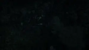 Backdrop to the movie "Godzilla" #613084