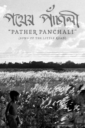 Poster to the movie "Pather Panchali" #751213