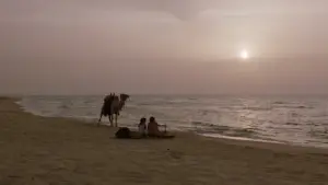 Backdrop to the movie "Paradise" #889100