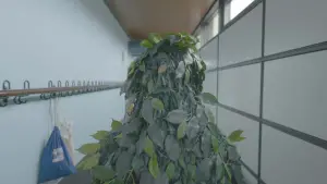 Backdrop to the movie "Our Nature" #722605