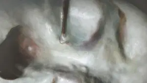 Backdrop to the movie "The Girl Who Cried Pearls" #583879