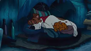 Oliver & Company
