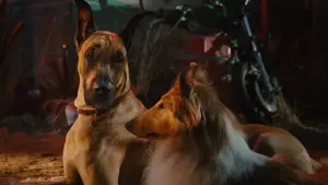 Backdrop to the movie "Marmaduke" #616775