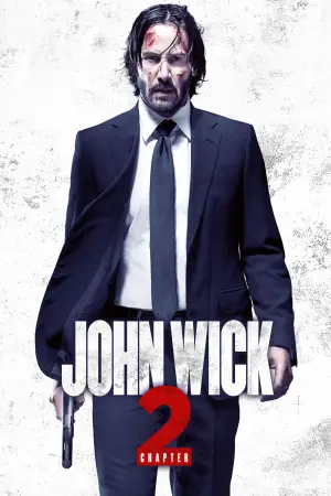 Poster to the movie "John Wick: Chapter 2" #585474