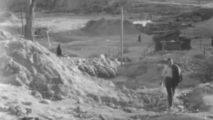 Backdrop to the movie "The First Look" #788350