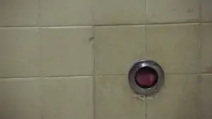 Backdrop to the movie "Porky