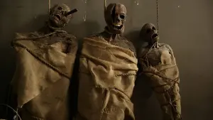 Backdrop to the movie "The Caller" #417875