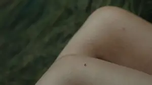 Backdrop to the movie "Year of the Widow" #730348