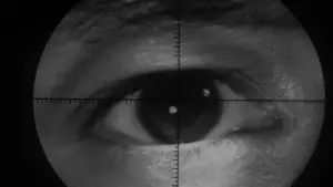 Backdrop to the movie "Branded to Kill" #763869