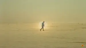 Backdrop to the movie "Sirāt" #516246