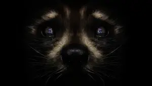 Backdrop to the movie "Guardians of the Galaxy Vol. 3" #560460