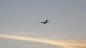 Backdrop to the movie "Llamen a un adulto (Sepiaexperimental)" #460293