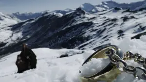 Backdrop to the movie "The Lord of the Rings: The Fellowship of the Ring" #747852