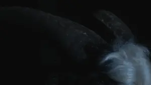 Backdrop to the movie "I envy the calm that faith brings you" #427277