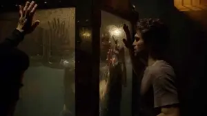 Backdrop to the movie "Follow Me" #291792