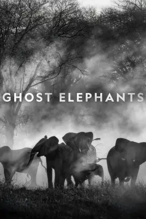 Poster to the movie "Ghost Elephants" #764761