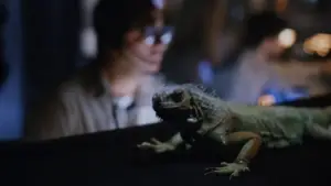 Backdrop to the movie "Carnosaur 2" #765482