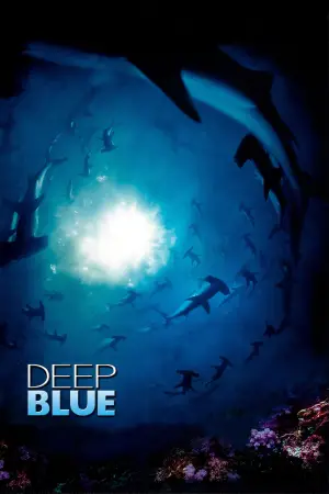 Poster to the movie "Deep Blue" #724857