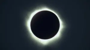 Backdrop to the movie "Dark Glasses" #393818