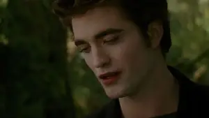 Backdrop to the movie "The Twilight Saga: New Moon" #519840