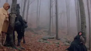 Backdrop to the movie "Ladyhawke" #860087