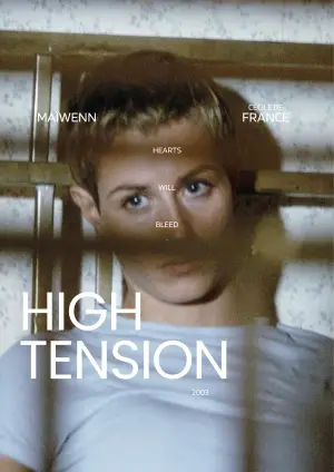 Poster to the movie "High Tension" #674143