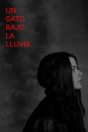 Movie poster "A Cat Under the Rain"