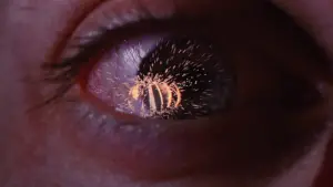 Backdrop to the movie "Spider-Man" #550132