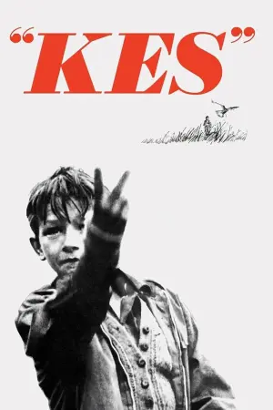 Poster to the movie "Kes" #211581