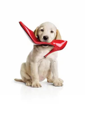 Poster to the movie "Marley & Me" #744236