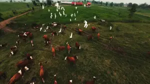 Backdrop to the movie "MARANDANG" #844002