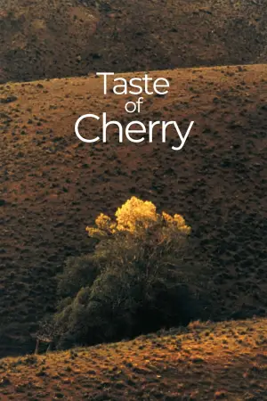 Poster to the movie "Taste of Cherry" #695687
