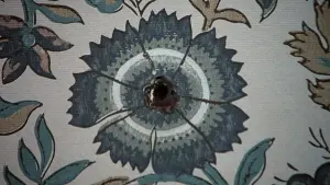 Backdrop to the movie "Psycho II" #379305