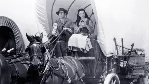 Backdrop to the movie "Brigham Young" #691670