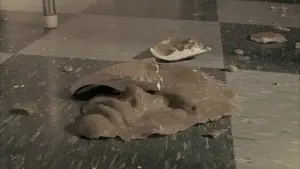 Backdrop to the movie "House of Wax" #481132