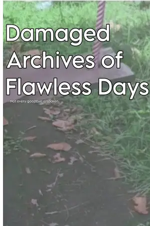 Poster to the movie "Damaged Archives of Flawless Days" #561895