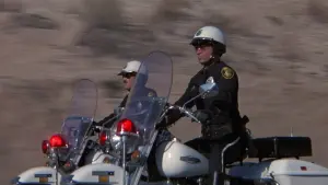 Backdrop to the movie "Electra Glide in Blue" #459466