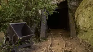 Backdrop to the movie "Bagman" #628870