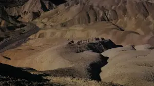 Backdrop to the movie "Spartacus" #640849