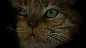 Backdrop to the movie "Alien" #750276