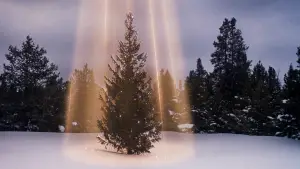 Backdrop to the movie "National Lampoon