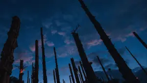 Backdrop to the movie "28 Years Later: The Bone Temple" #828414