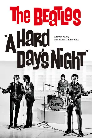 Poster to the movie "A Hard Day